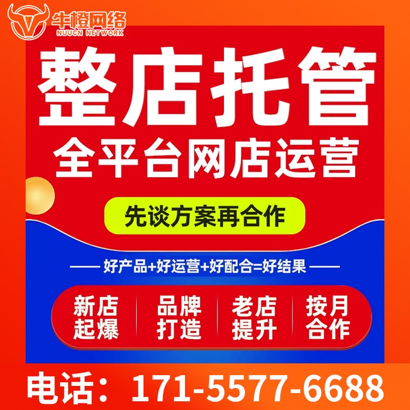 咸阳爱采购代运营