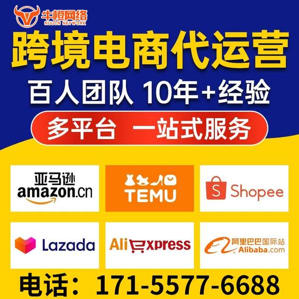 咸阳电商代运营