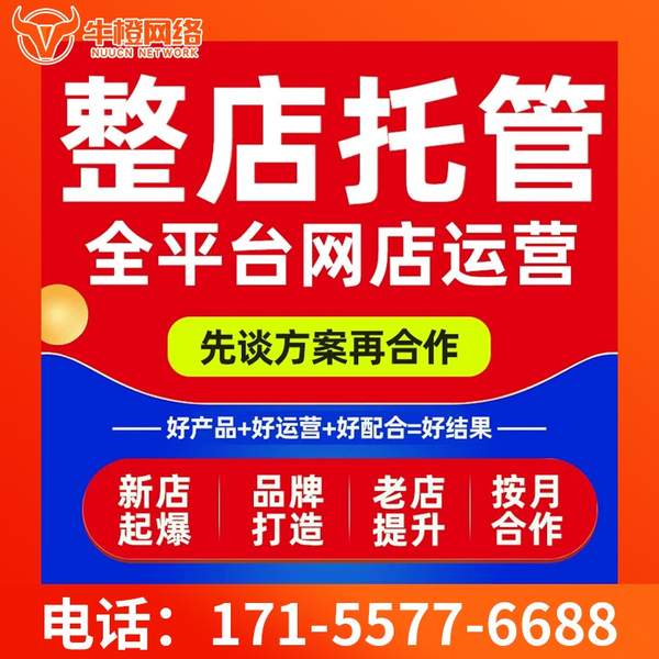 咸阳电商代运营