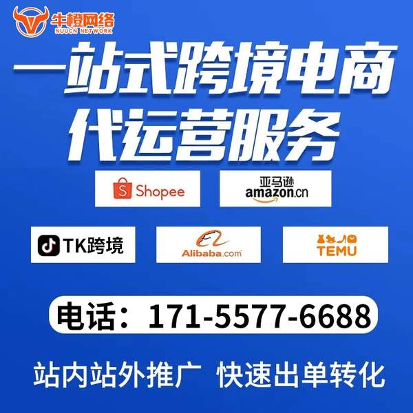 咸阳电商代运营