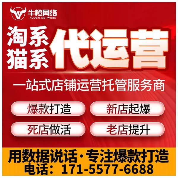 咸阳电商代运营